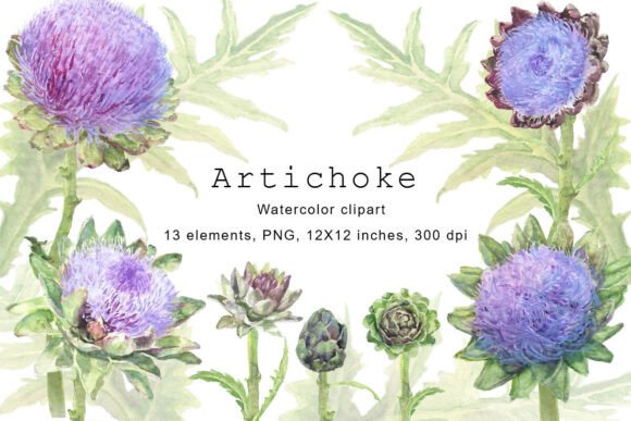Watercolor Artichokes Clipart, PNG: A Strategic Asset for Visual Communication